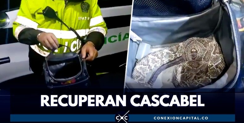 WhatsApp Image 2019-12-21 at 2.33.57 PM