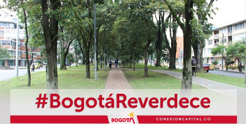 Bogotá Reverdece Bogotá Reverdece