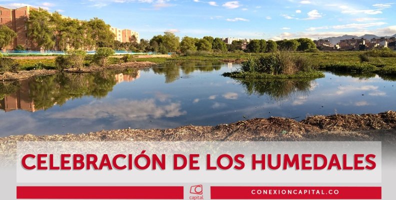 Exposición de humedales en el Jardín Botánico Exposición de humedales en el Jardín Botánico