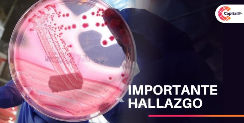 Importante hallazgo para combatir el coronavirus en Colombia Importante hallazgo para combatir el coronavirus en Colombia