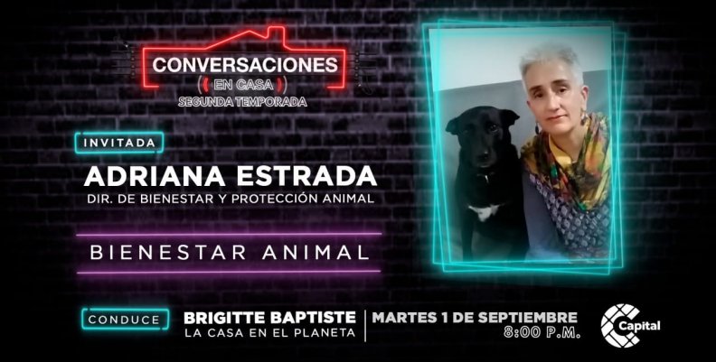 Conversaciones En Casa Adriana Estrada Protección animal Conversaciones En Casa Adriana Estrada Protección animal