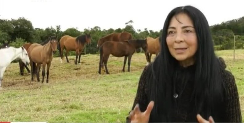 Dama de los caballos