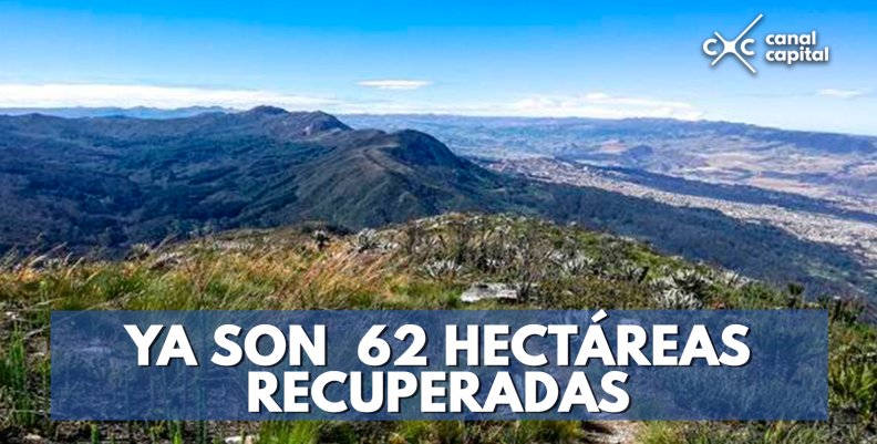 YA-SON--62-HECTÁREAS-RECUPERADAS YA-SON--62-HECTÁREAS-RECUPERADAS