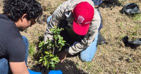 Red de Voluntariado Ambiental de la CAR