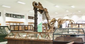 Museo Geológico Colombiano - SGC