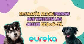 Situación perros abandonados en Bogotá