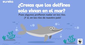 Delfines de río  en Colombia
