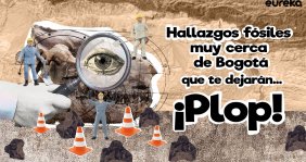 Fósiles 