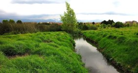 Humedal con un cuerpo de agua en el medio y vegetación a los lados