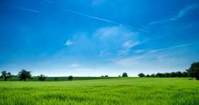 Un campo verde de césped con un cielo azul
