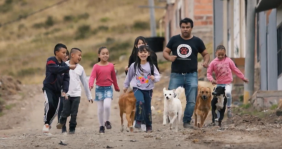 Fundación Amigos de 4 Patas