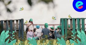 Organizaciones juveniles por el cuidado del medio ambiente