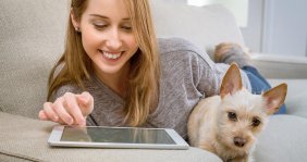 ¿Perdiste a tu peludo? Conoce el portal gratuito de Bogotá que te ayuda a encontrarlo