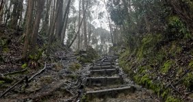 Foto: Alcaldía Mayor de Bogotá. Senderismo en Bogotá