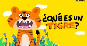 Datos de los tigres explicados para niños de primera infancia
