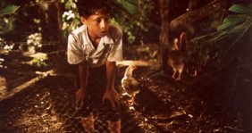 Los niños invisibles / Proimagenes Colombia