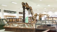 Museo Geológico Colombiano - SGC
