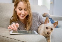 ¿Perdiste a tu peludo? Conoce el portal gratuito de Bogotá que te ayuda a encontrarlo
