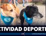 Ciclovía Zoolidaria: plan para toda la familia
