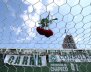 Imagen tomada de Reuters