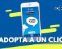 distrito-appnimal