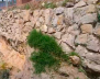 ALTOS DE JALISCO