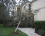 An uprooted tree blocks the entrance of a home after Hurricane Irma passed through Kissimmee, Florida