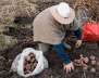 Bogotá comensal, nueva serie sobre la soberanía alimentaria