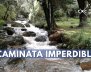 caminata_delirio