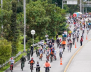 CICLOVIA 2 (IDRD)