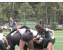 Liga de Rugby en Bogotá
