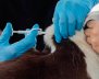 Microchip