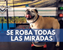 miradas-min