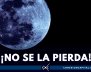 ¡NO-SE-LA-PIERDA!