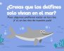 Delfines de río  en Colombia