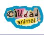 Ciudad animal 