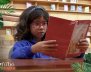 Cinco libros de naturaleza que te encantarán 