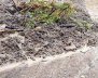 Montaña con deslizamiento 