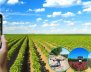 Agro y abastecimiento