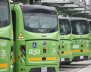 Buses verdes 