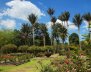 Jardín Botánico