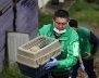 Rescate de animales de criaderos ilegales