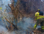 Incendios forestales: Cómo evitar y prevención | Bogotá