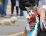 Persona cargando a un gato mientras de fondo se ve un perro acostado