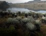 Páramo de Sumapaz