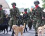 Octava División del Ejército Nacional