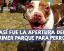 plantilla noticias-3 (32)