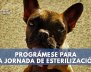 esterilizacion-bogota