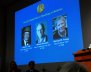 The names of Jeffrey C. Hall, Michael Rosbash and Michael W. Young are displayed during a news conference to announce the winner of the Nobel Prize in Physiology or Medicine 2017, in Stockholm