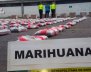Incautan marihuana